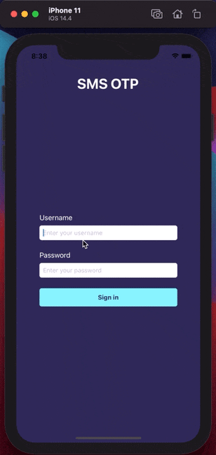 CleanShot 2021-02-11 at 20.38.34