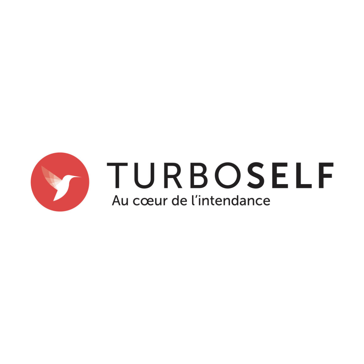 Turboself Image
