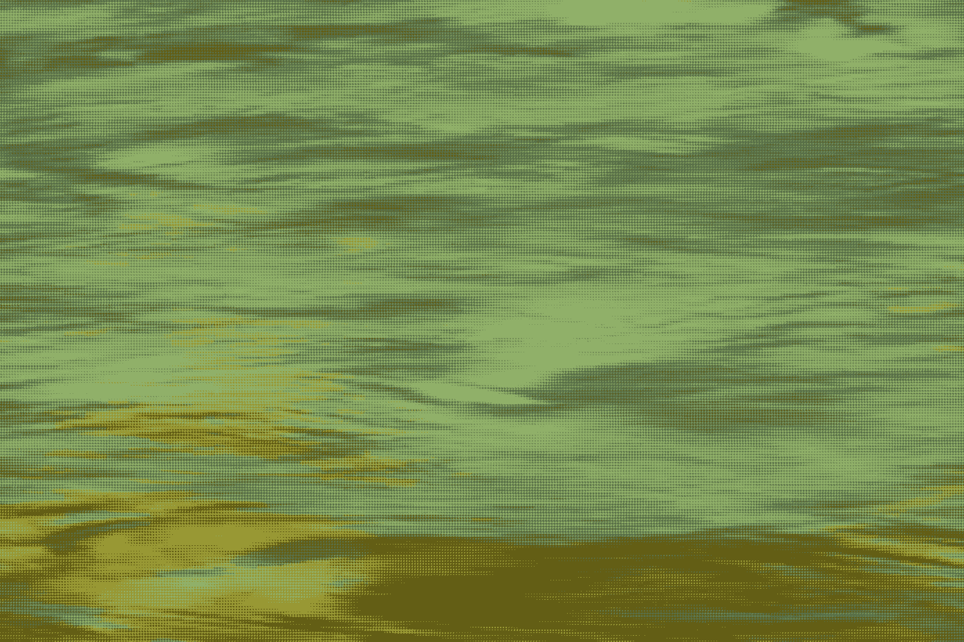 Semantic Segmentation