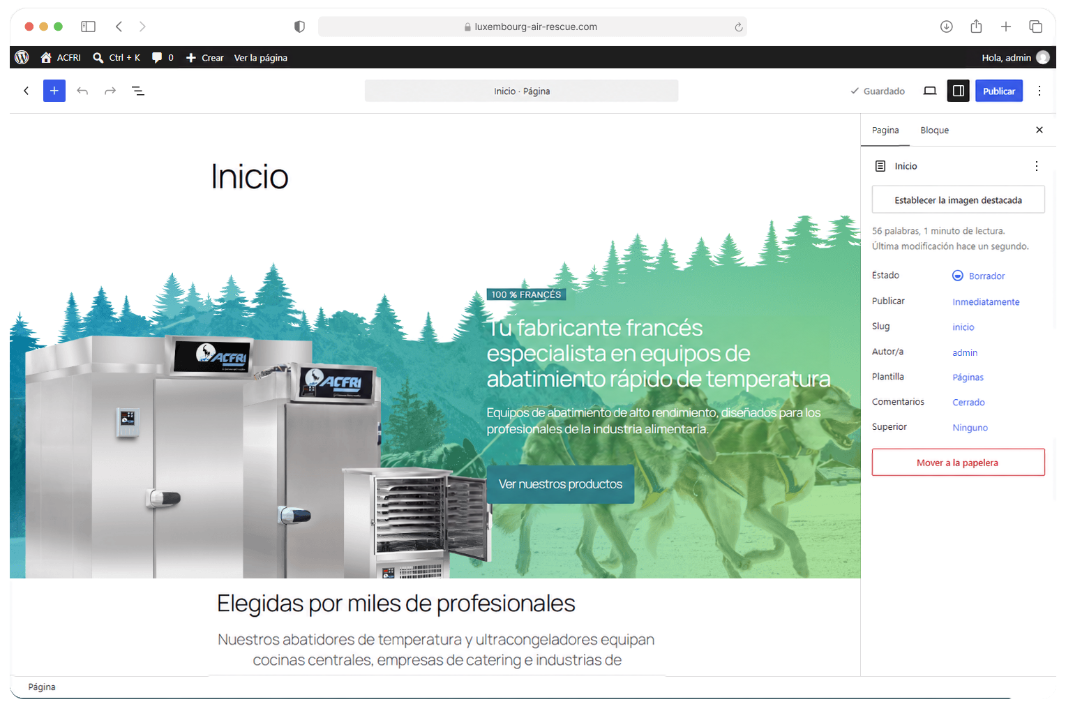 Página de inicio de ACFRI abierta en el editor de bloques de WordPress