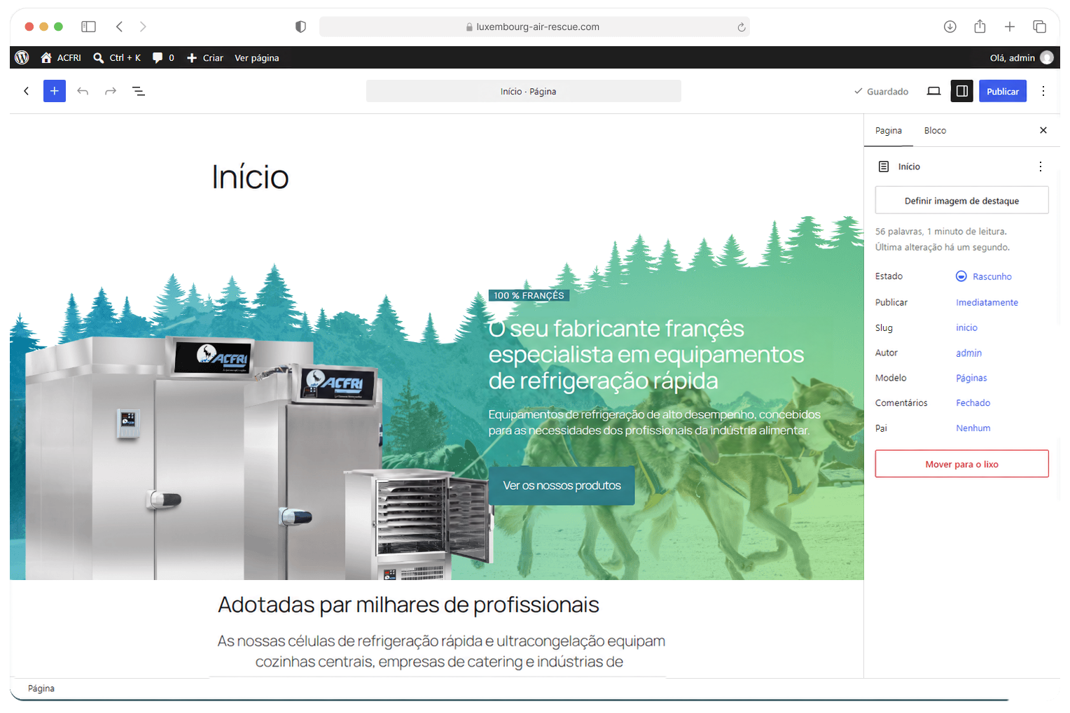 Página inicial da ACFRI aberta no editor de blocos do WordPress