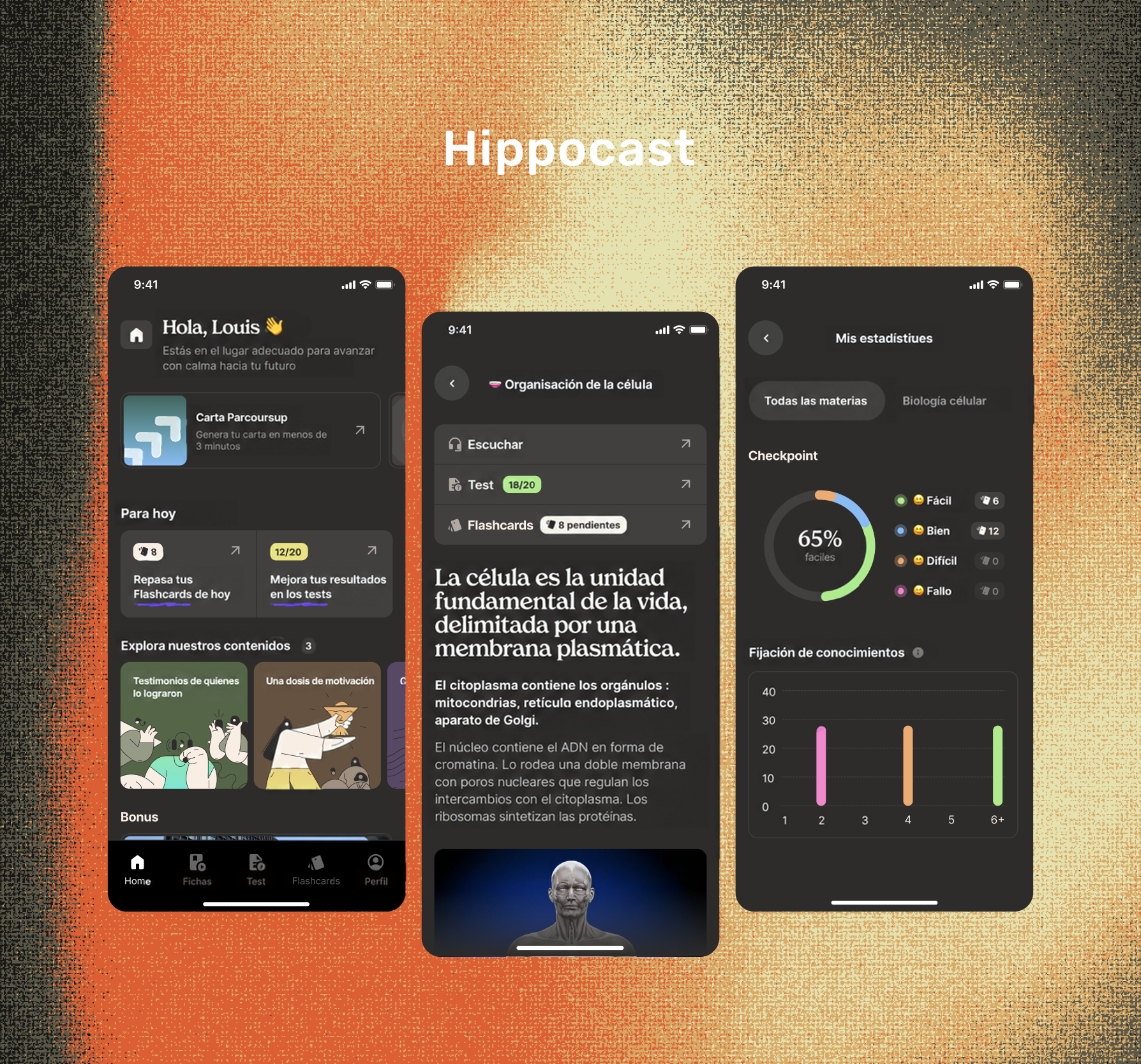 Hippocast Logo
