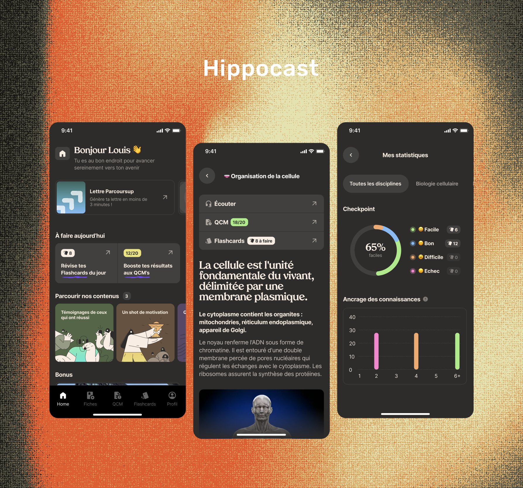 Hippocast Logo