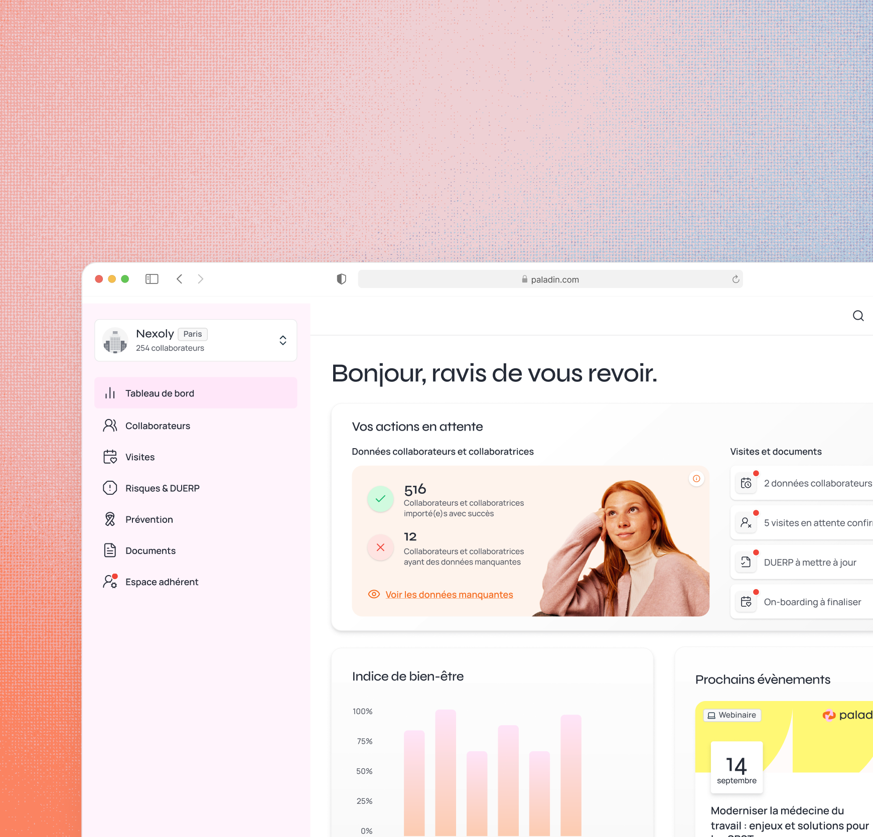 Paladin - dashboard for an occupational health centre.