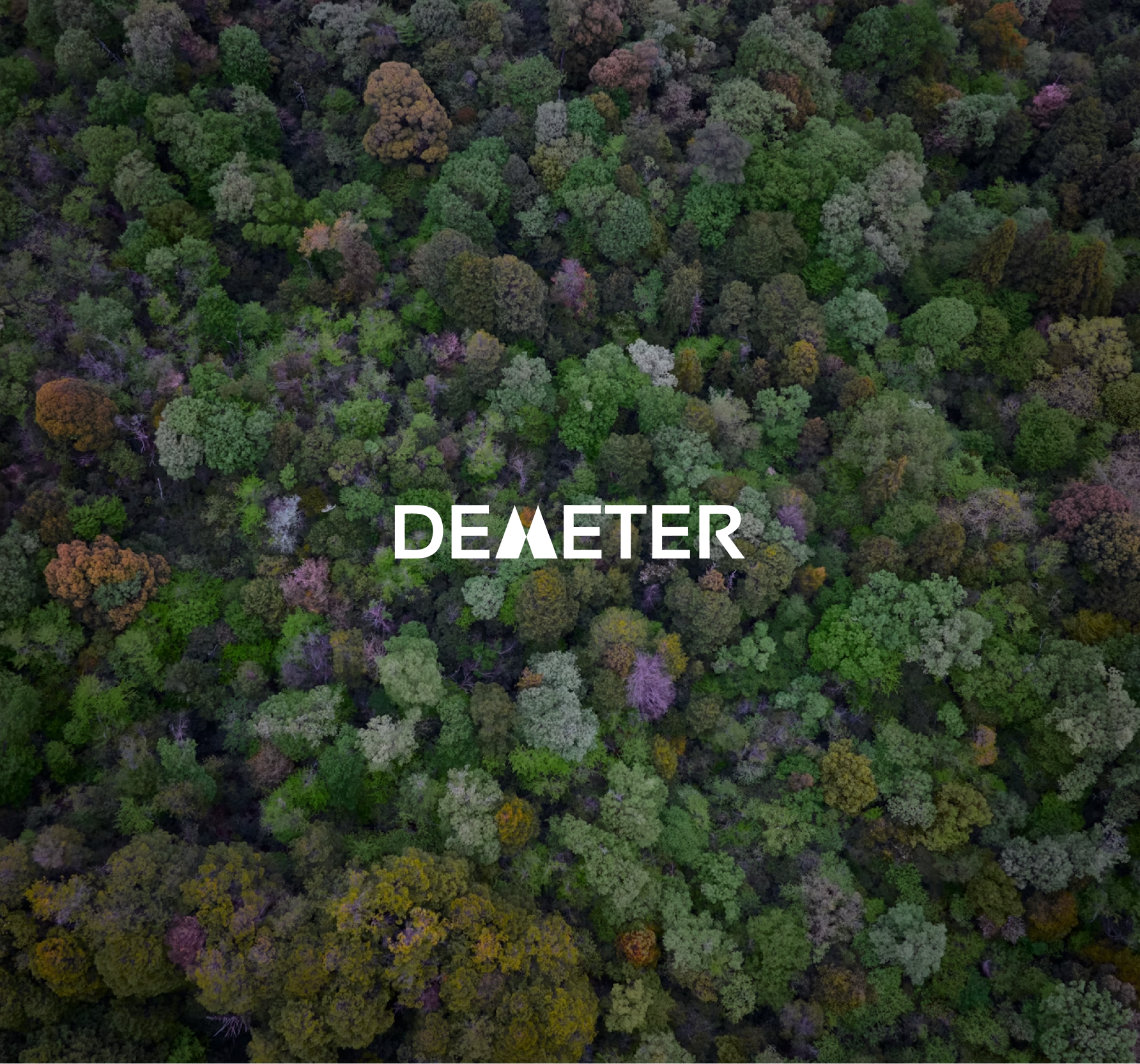 Demeter Logo