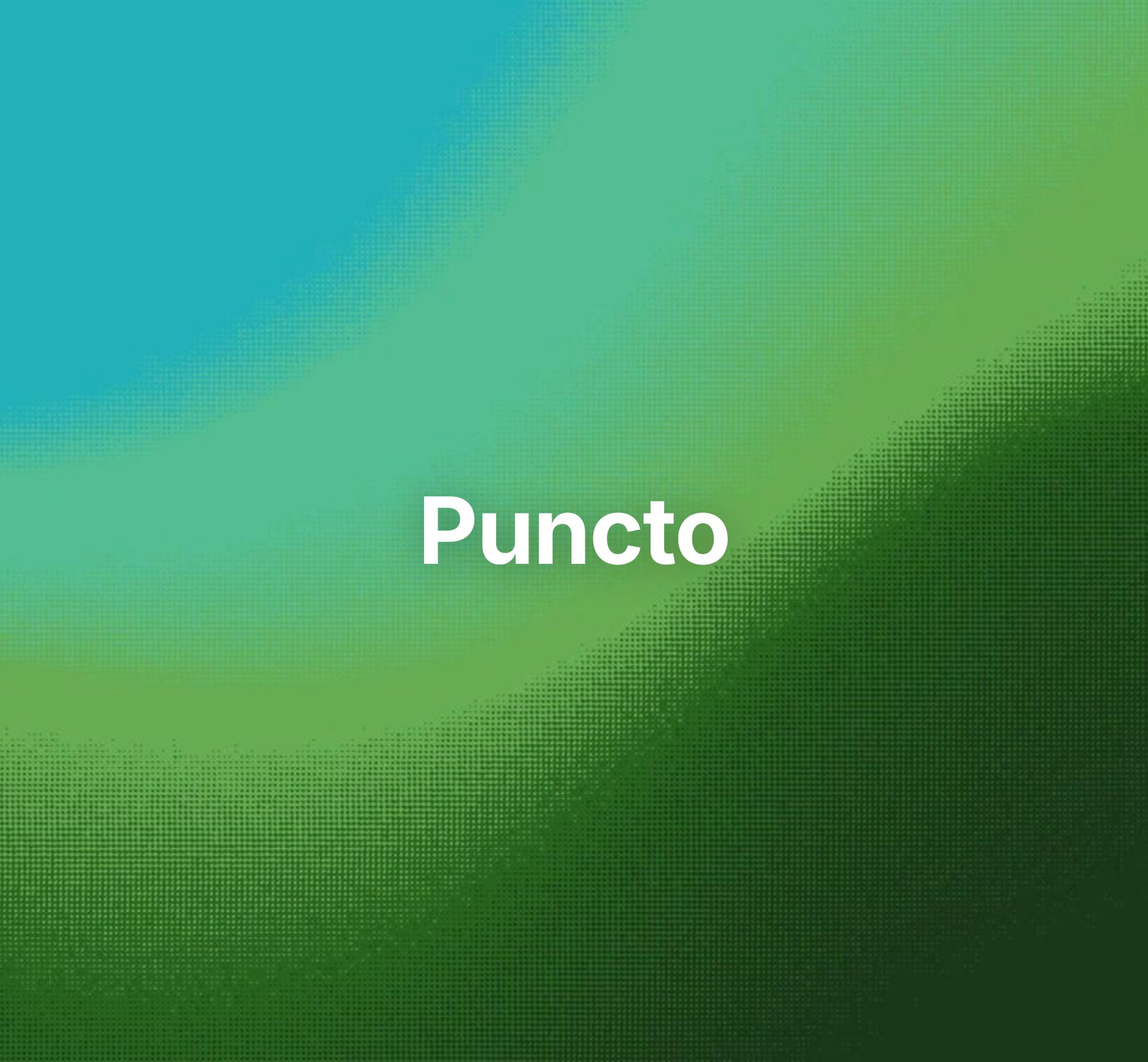 Puncto Logo