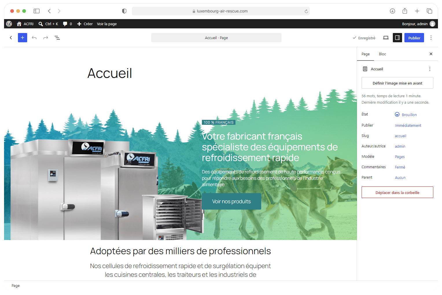 Page d'accueil d'ACFRI ouverte dans l'éditeur de blocs WordPress
