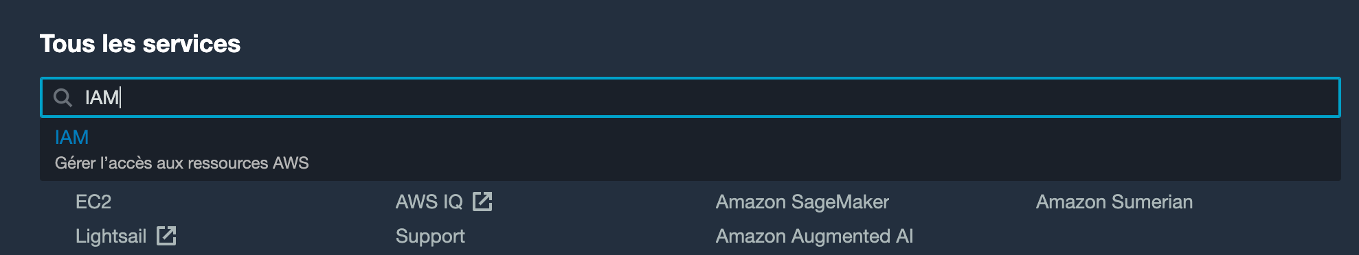 iam-service